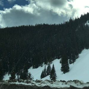 Meet your Posher, Lila